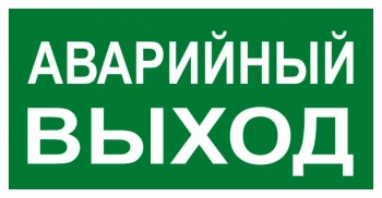 EKF PROxima Знак "АВАРИЙНЫЙ ВЫХОД" 150х300мм