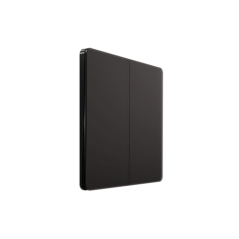 Systeme Electric Systeme Infinity Полярная ночь Выключатель с самовозвратом 2-клавишный, 10А