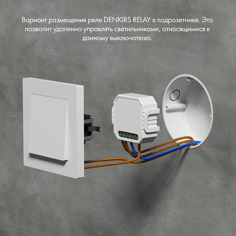 Denkirs RL1001-SM/1 Одноканальное Wi-Fi реле-выключатель 1 x 2300 Вт / 250 Вт для LED