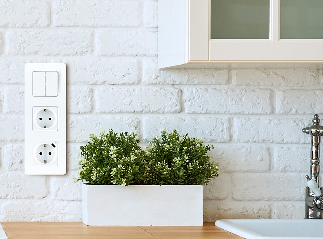 Legrand INSPIRIA Белый Розетка 2К+З - немецкий стандарт - 16 А - 250 В