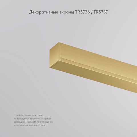 Denkirs TR5737-SB Декоративная заглушка желоба трека, 50см, для трека Shine, серия Base, сатинированная латунь, алюминий