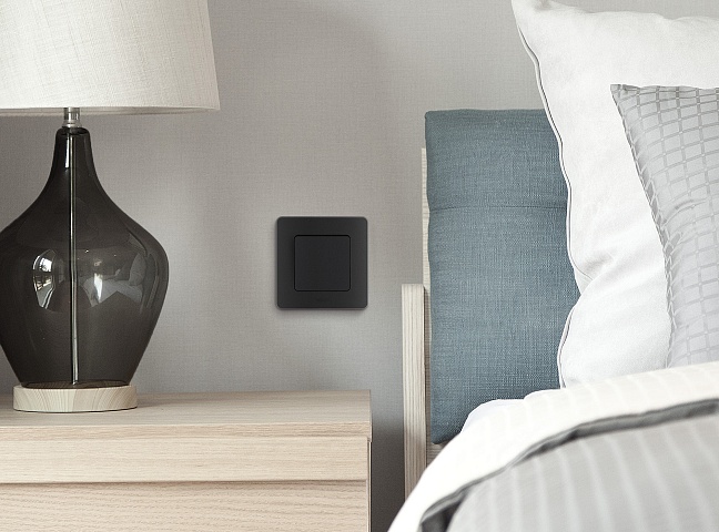 Legrand INSPIRIA Антрацит Выключатель одноклавишный 10 AX - 250 В