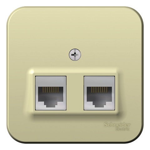 SE Blanca наруж Беж Розетка 2-ая компьютерная RJ45, кат.5E, изолир. пластина