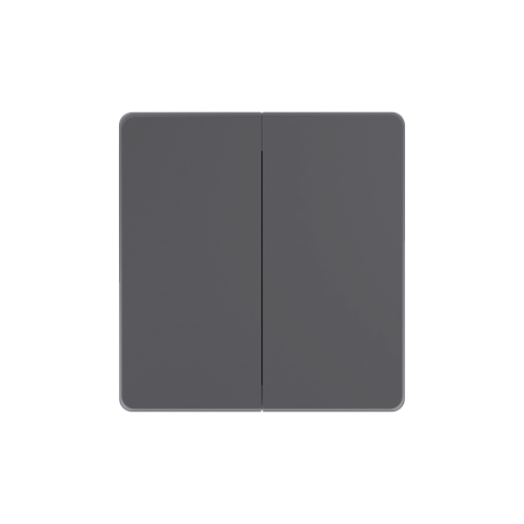 Systeme Electric Systeme Infinity Вулканический пепел Выключатель с самовозвратом 2-клавишный, 10А
