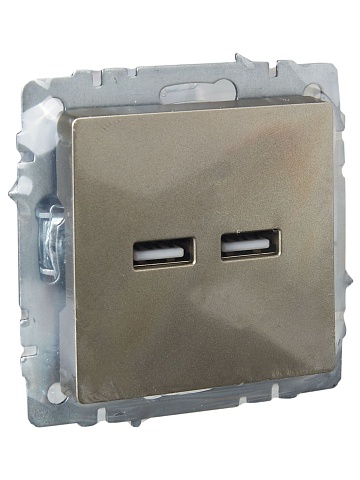 IEK BRITE Роз. USB A+A 3,1А РЮ10-1-БрШ шамп.