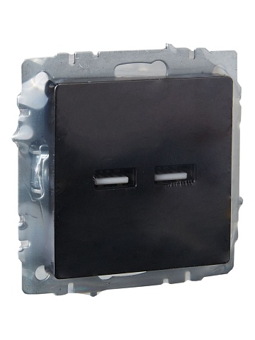 IEK BRITE Роз. USB A+A 3,1А РЮ10-1-БрЧ черн.