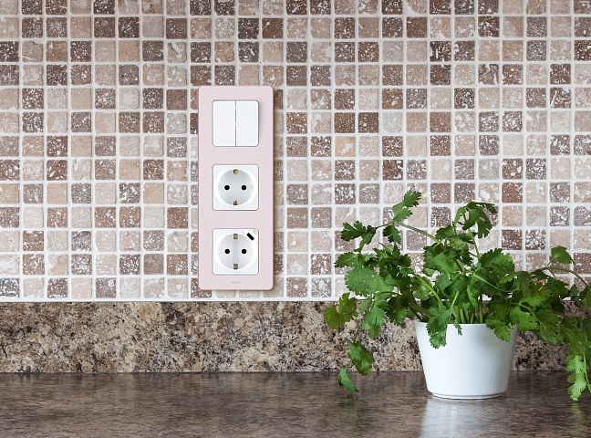 Legrand INSPIRIA Белый Выключатель двухклавишный 10 AX - 250 В