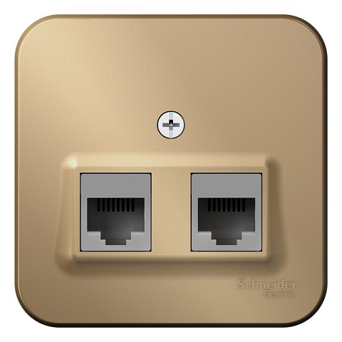 SE Blanca наруж Титан Розетка 2-ая компьютерная RJ45, кат.5E, изол. пластина