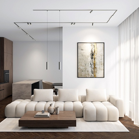 Denkirs DK5742-DN Светильник для трека SHINE SPOT со светодиодом, D35*H100, 48V DC, 8W*2 , RA≥90, 3000K, IP20, темный никель, алюминий