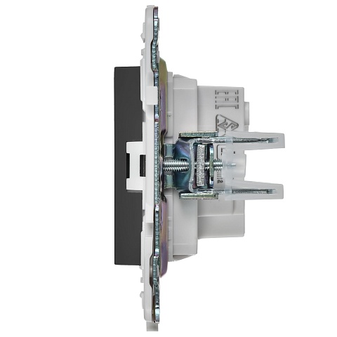 IEK SKANDY Титан Розетка б/з 10А SK-R02T