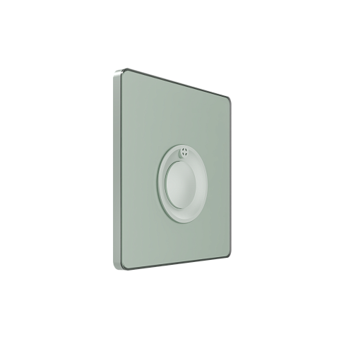 Systeme Electric Systeme Infinity Таежное утро Выключатель кнопочный 100Вт с выдержкой времени