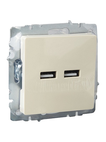 IEK BRITE Роз. USB A+A 3,1А РЮ10-1-БрКр беж.
