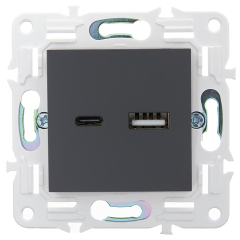 IEK SKANDY Титан Розетка USB A+C 3,1А SK-R14T