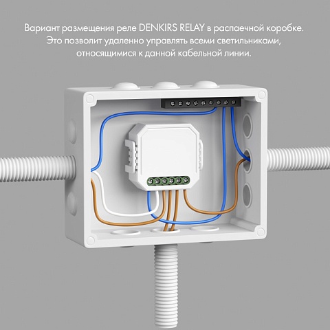 Denkirs RL1004-DM/1 Двухканальное Wi-Fi реле-диммер 2 x 100 Вт