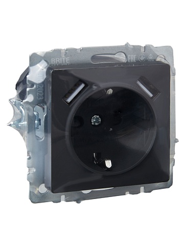 IEK BRITE Роз. с з/к/ш 16А с USB A+A 3,1А РЮш10-2-БрГ граф.